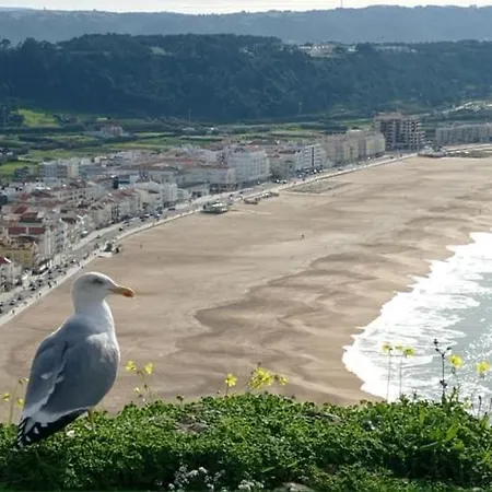 West Coast Dream Nyaraló