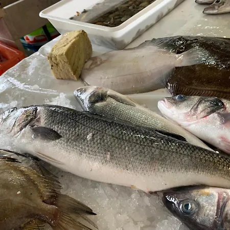 West Coast Dream Nyaraló