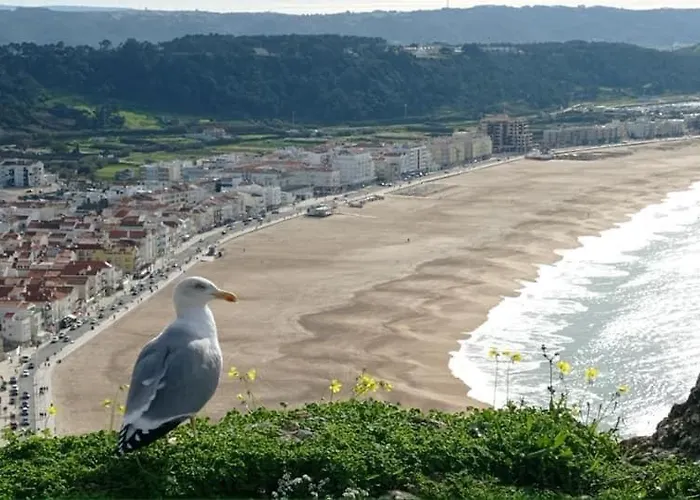 West Coast Dream Casa vacanze