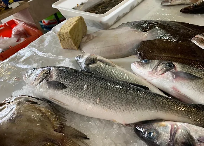 West Coast Dream Casa vacanze